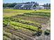 A community farm with rows of growing vegetables and modern designed buildings at 2225 Valentine Aly, Orlando, FL 32804