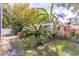 Backyard garden with mature palms and plants at 12918 Hunters Vista Blvd, Orlando, FL 32837