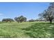 Spacious backyard with well-maintained green lawn and mature trees at 247 Hampton Loop, Davenport, FL 33837
