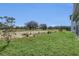 Lush green backyard with a clear view of the green and wooded landscape at 247 Hampton Loop, Davenport, FL 33837