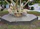 Relaxing deck built around a large tree with colorful chairs at 124 Hollyhock Ct, Kissimmee, FL 34743