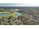 Aerial view of the community featuring lush trees, lakes, and single-Gathering homes at 25974 High Hampton Cir, Sorrento, FL 32776