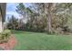 A spacious backyard featuring a manicured lawn, mature trees, and privacy landscaping at 25974 High Hampton Cir, Sorrento, FL 32776