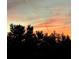 Gorgeous sunset over the trees, a beautiful display of color in the evening sky at 2983 Sunset Vista Blvd, Kissimmee, FL 34747