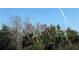 Beautiful trees in full foliage against a clear blue sky with wisps of smoke at 2983 Sunset Vista Blvd, Kissimmee, FL 34747