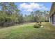 Spacious backyard with lush greenery, black metal fence, and outdoor seating area at 2438 River Rise Ct, Orlando, FL 32828