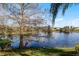 Scenic lake view with lush green trees in background at 11753 Fan Tail Ln, Orlando, FL 32827