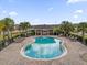 Community pool with lounge chairs and shaded seating area, surrounded by lush palm trees at 3337 Reedy Glen Dr, Kissimmee, FL 34758