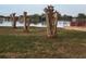 Lakefront property with trimmed trees and calm water at 477 C St # 4, Casselberry, FL 32707