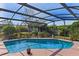 Gorgeous screened-in pool with ample lounging space and verdant foliage at 616 Mellowood Ave, Orlando, FL 32825