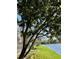 A large tree in the backyard along the lake at 2556 Brookstone Dr, Kissimmee, FL 34744