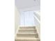 Carpeted staircase leading to the upper level of the home with white trim at 4612 Terry Town Dr, Kissimmee, FL 34746