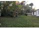 Mature trees in the yard at 112 Edwards St, Daytona Beach, FL 32117