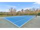 Community tennis court featuring a vibrant blue surface and well-maintained surroundings at 2602 Lodi Cir # 105, Kissimmee, FL 34746