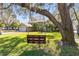 A charming home is viewed from under the branches of a large, mature tree with a wooden swing at 8413 Commander Cv, Winter Park, FL 32792