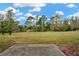 Spacious backyard with a view of green trees and grass, perfect for outdoor activities and relaxation at 1558 Downy Birch Ln, Longwood, FL 32750