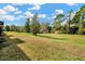 Expansive back yard with lush green grass and mature trees, creating a serene outdoor space at 1558 Downy Birch Ln, Longwood, FL 32750