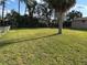 Large backyard features a mature palm tree at 1583 Montgomery Ave, Holly Hill, FL 32117