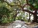 Scenic driveway lined with mature oak trees, creating a picturesque and inviting entrance to the property at 198 Benjamin Dr, Ormond Beach, FL 32176