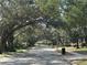 Scenic street view with mature trees providing shade at 203 E Sweetwater Creek Dr, Longwood, FL 32779