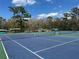 Tennis court with tennis net, in a community that also offers a canoe/kayak launch area at 203 E Sweetwater Creek Dr, Longwood, FL 32779