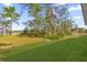 View of backyard showcasing the vast green lawn extending to a border of trees and natural growth at 505 St Johns Ct, Kissimmee, FL 34759