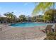 Resort-style pool area with palm trees and comfortable lounge chairs for relaxation at 8031 Enchantment Dr # Ge, Windermere, FL 34786