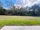 Expansive backyard with lush green grass and a line of trees at 1183 Chervil Dr, Poinciana, FL 34759