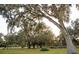 Picturesque homesite with beautiful mature trees and a sense of serenity at 9919 Hickory Hollow Rd, Leesburg, FL 34788