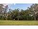 Expansive lawn with mature trees and plenty of room to roam at 9919 Hickory Hollow Rd, Leesburg, FL 34788