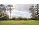 Expansive green yard showcasing a picturesque landscape with mature trees under a partly cloudy sky at 9919 Hickory Hollow Rd, Leesburg, FL 34788