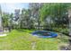 Lush backyard with manicured lawn, mature trees, and a trampoline, ideal for recreation and relaxation at 1910 Lake Roberts Landing Dr, Winter Garden, FL 34787