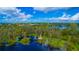 High angle view of a wetland area in a community with a boardwalk in the distance at 8424 Lake Burden Cir, Windermere, FL 34786