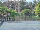 Tennis court surrounded by lush landscaping and mature trees, providing a serene playing environment at 4304 Clubside Dr # 4304, Longwood, FL 32779