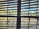 A lovely, natural light filters in through the window blinds, offering peaceful neighborhood views at 4304 Clubside Dr # 4304, Longwood, FL 32779