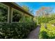 Landscaped backyard featuring tropical foliage, a brick pathway, and privacy hedges at 5016 Fawn Ridge Rd, Orlando, FL 32819
