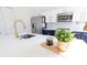 Close-up of a kitchen island with a stainless sink and potted plant at 10226 Vickers Ridge Dr, Orlando, FL 32829