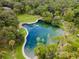 Aerial view showcasing a stunning blue pool surrounded by lush greenery and towering trees, creating a private oasis at 229 Springside Rd, Longwood, FL 32779