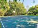 The large, private basketball court sits in a verdant surrounding, offering ample recreation space at 229 Springside Rd, Longwood, FL 32779