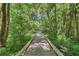 A beautiful, elevated boardwalk trail running through a lush, green, wooded area at 229 Springside Rd, Longwood, FL 32779