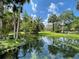 Beautiful pond reflecting the blue sky, surrounded by palm trees at 229 Springside Rd, Longwood, FL 32779