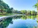 Scenic view of the pond surrounded by lush greenery and palm trees, reflecting a serene and tranquil atmosphere at 229 Springside Rd, Longwood, FL 32779