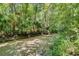 A tranquil, shallow stream flows serenely through a lush, green wooded area at 229 Springside Rd, Longwood, FL 32779