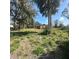 Overgrown lawn in front of boarded-up home indicates neglect and the need for extensive renovation and landscape attention at 4384 Frances Ave, Sanford, FL 32773