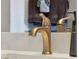 Modern bathroom faucet with marble countertop and decorative soap dispenser at 7671 Otterspool St, Kissimmee, FL 34747