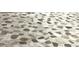 Pebble floor in a glass-enclosed shower stall featuring multiple shower heads and modern fixtures at 7709 Sundial Ln, Orlando, FL 32819