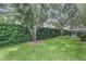 Spacious backyard featuring a well-manicured lawn, mature trees, and a privacy hedge at 8044 Saint James Way, Mount Dora, FL 32757