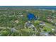 Aerial view showing lush, green surroundings and lake at 1303 Sultan Cir, Chuluota, FL 32766