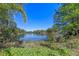 Picturesque lake view surrounded by lush greenery and trees, creating a serene natural setting at 1303 Sultan Cir, Chuluota, FL 32766