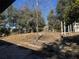 Backyard with tree and dead leaves on the ground at 26 Palm Run, Ocala, FL 34472